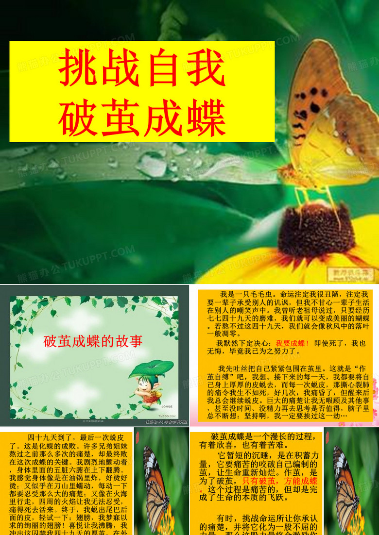 挑战自我,破茧成蝶