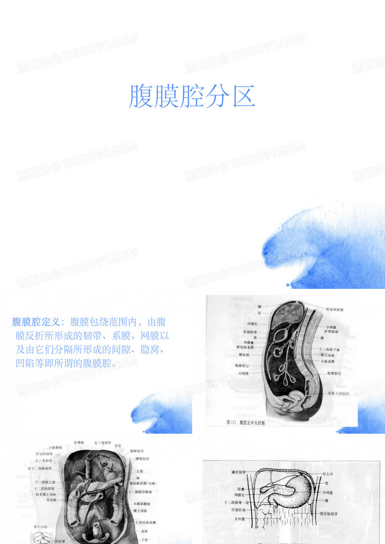 腹膜腔系统解剖及分区