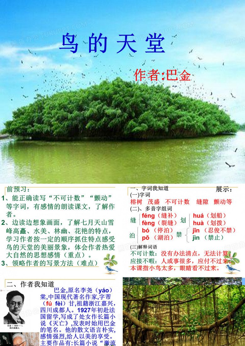 鸟的天堂