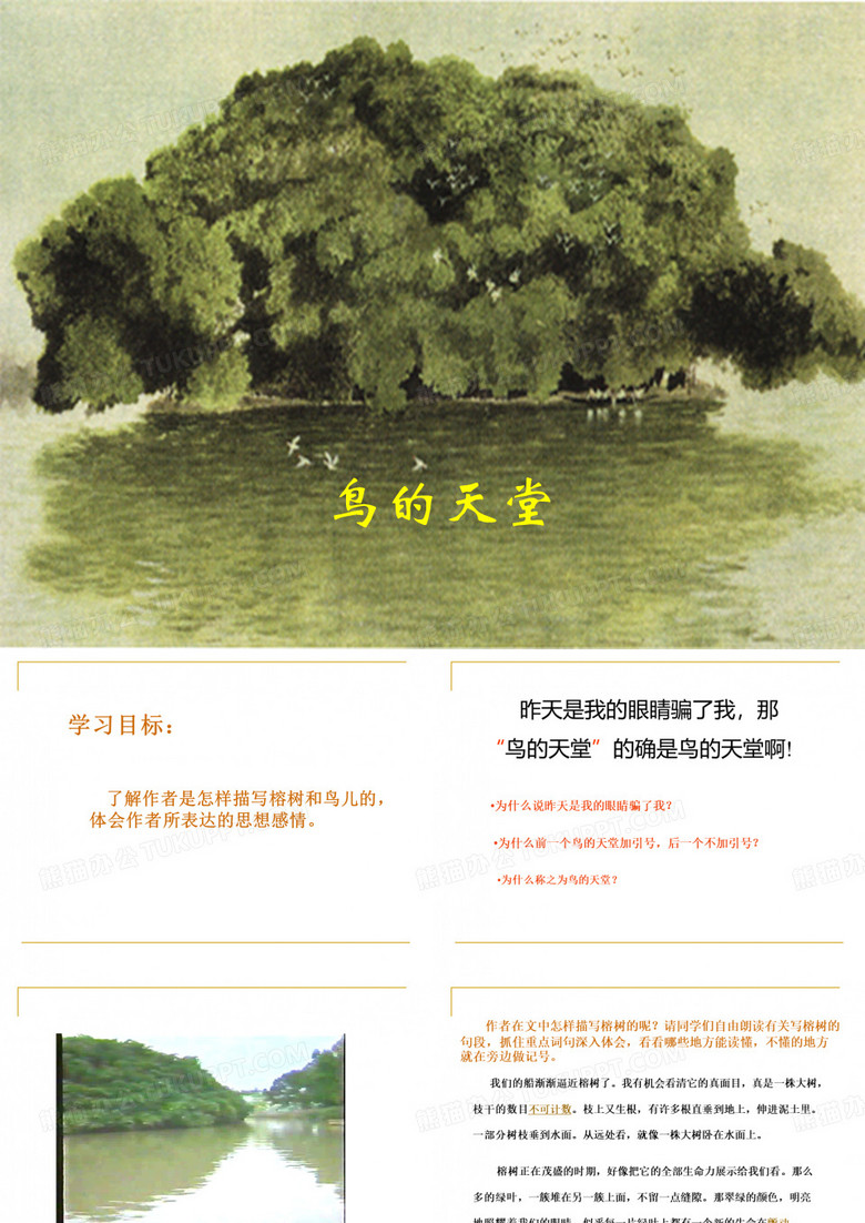 《鸟的天堂》
