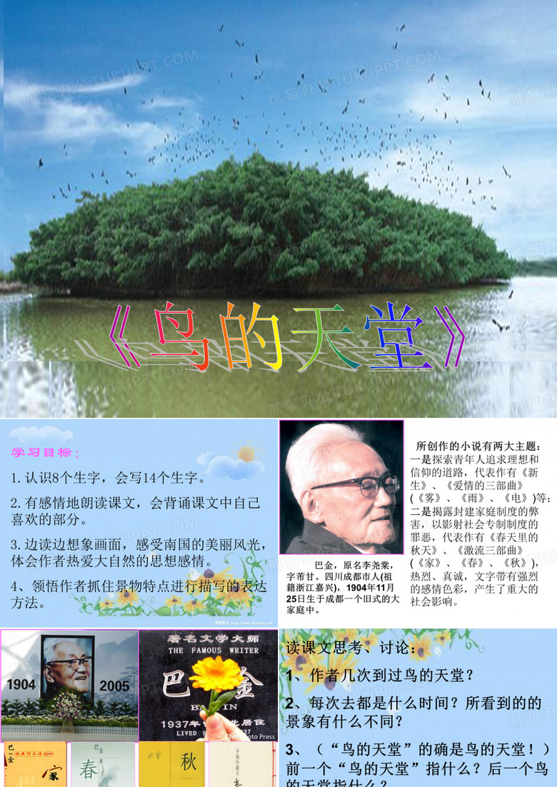 鸟的天堂