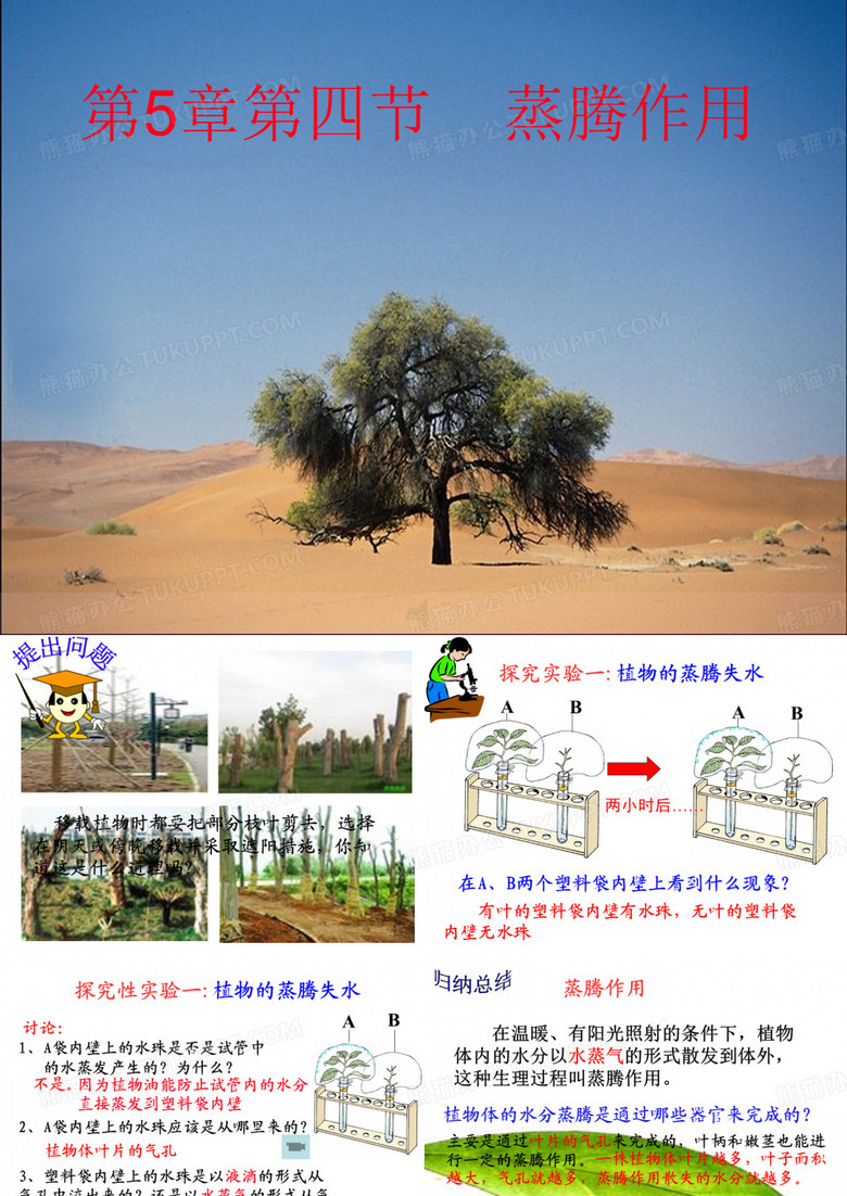 《蒸腾作用》课件..