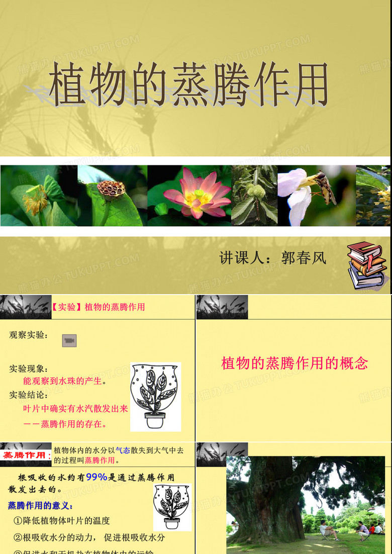植物蒸腾作用