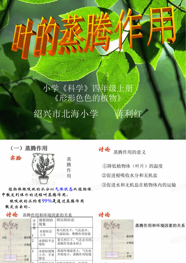 叶的蒸腾作用
