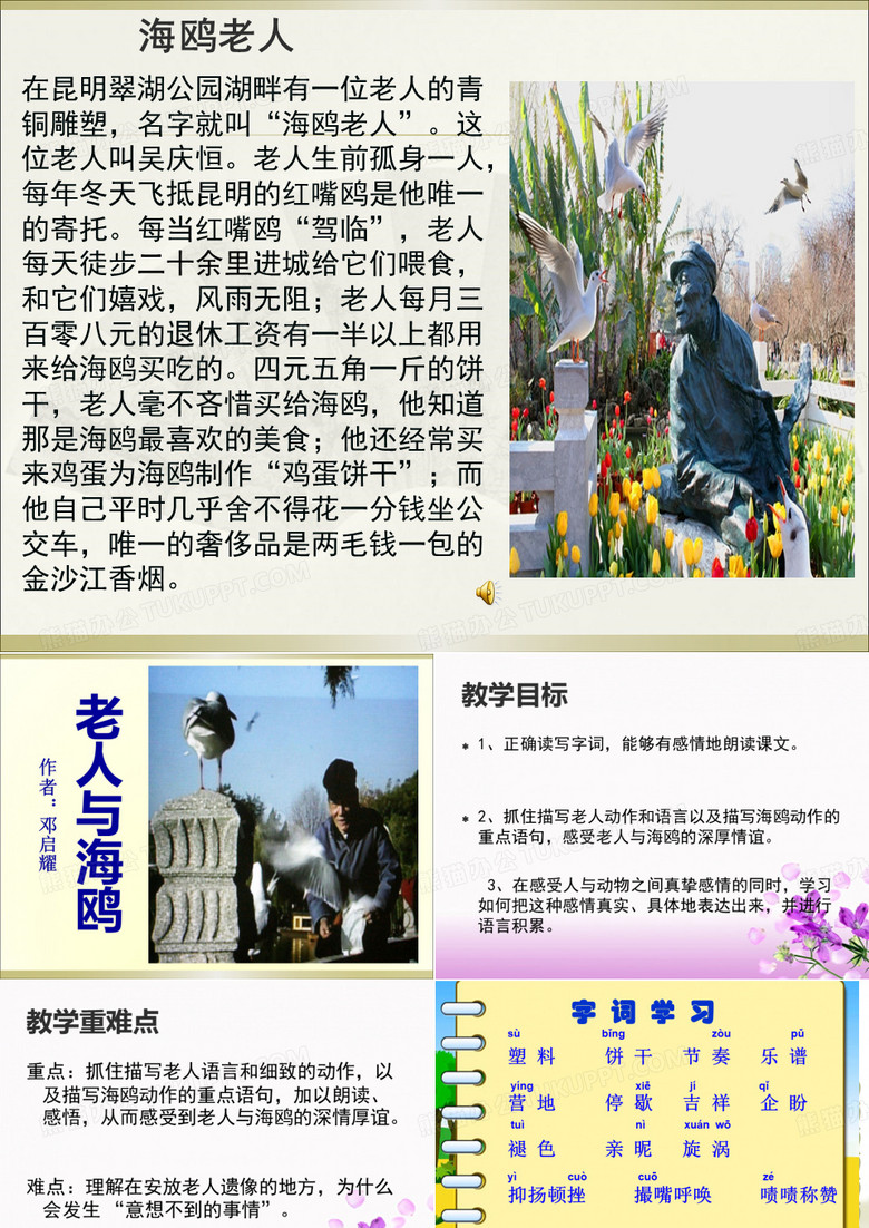 《老人与海鸥》课件