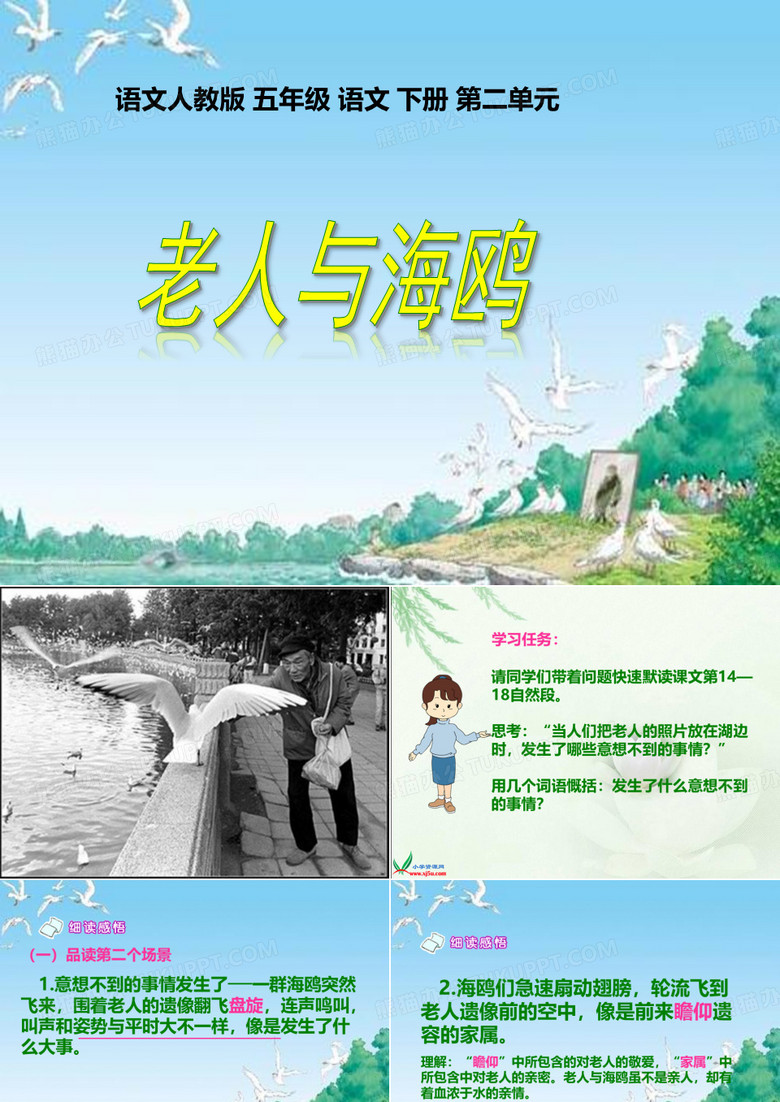 老人与海鸥课件