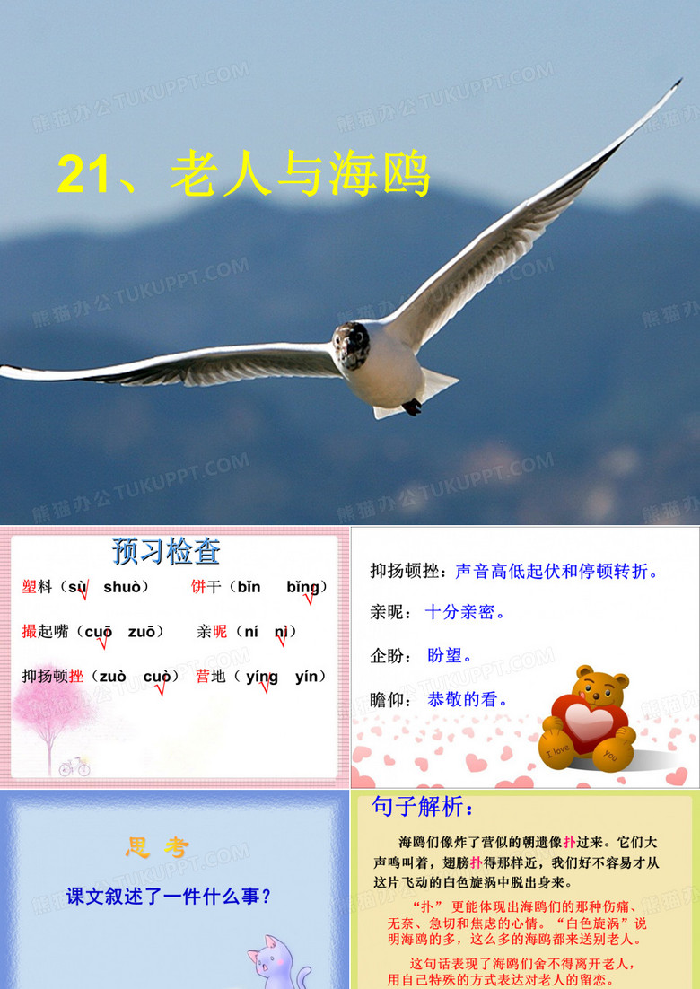 《老人与海鸥》课件3