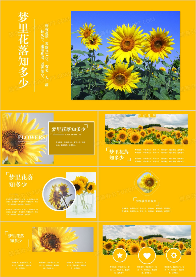 梦里花落知多少图片集PPT模板