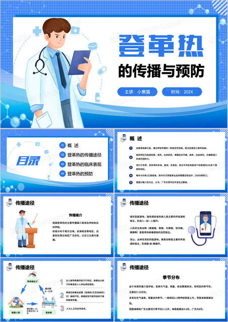 登革热的预防PPT模板