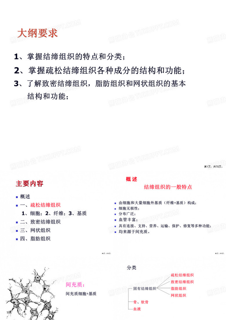 组织学与胚胎学  结缔组织