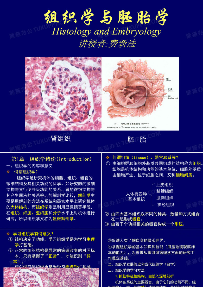 组织学与胚胎学(绪论)