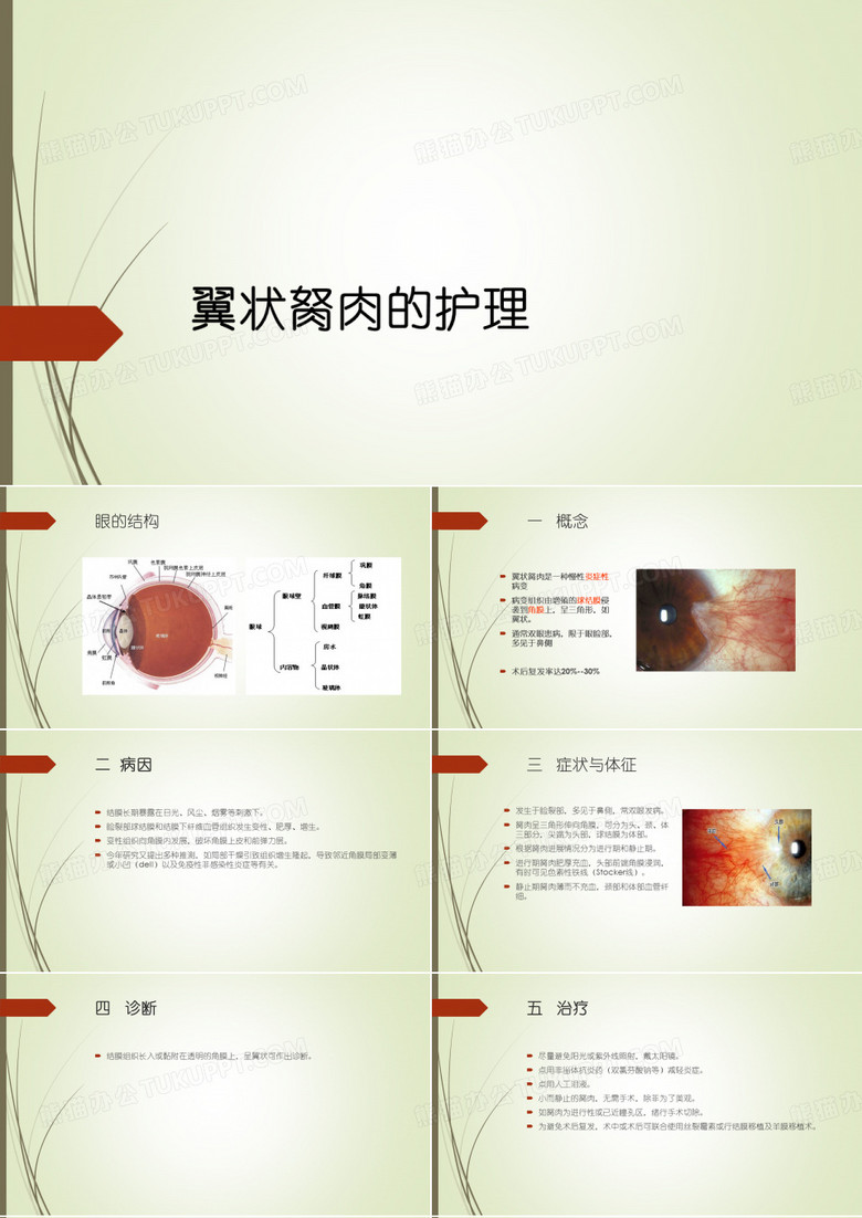 翼状胬肉的护理
