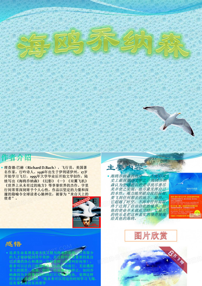 海鸥