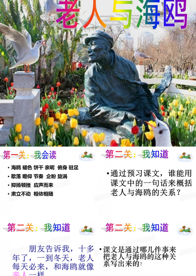 老人与海鸥