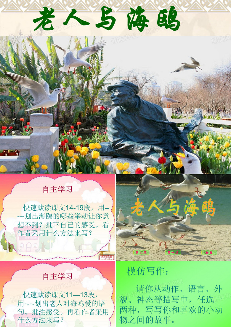 老人与海鸥