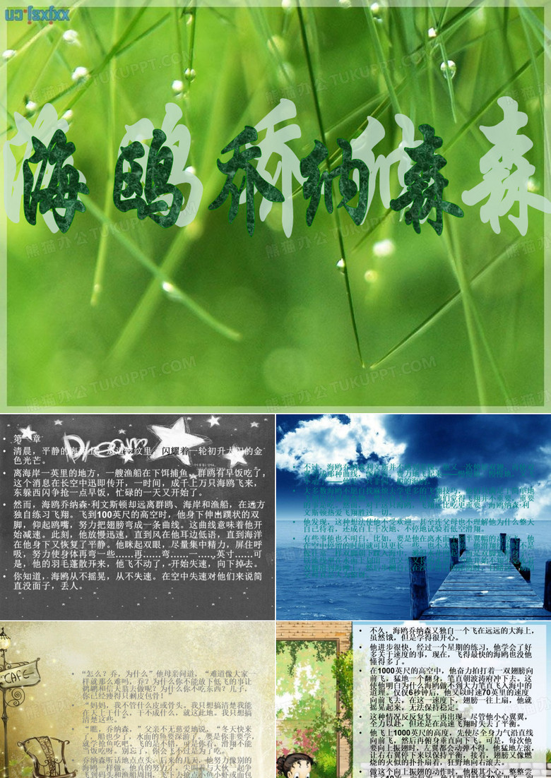海鸥乔纳森