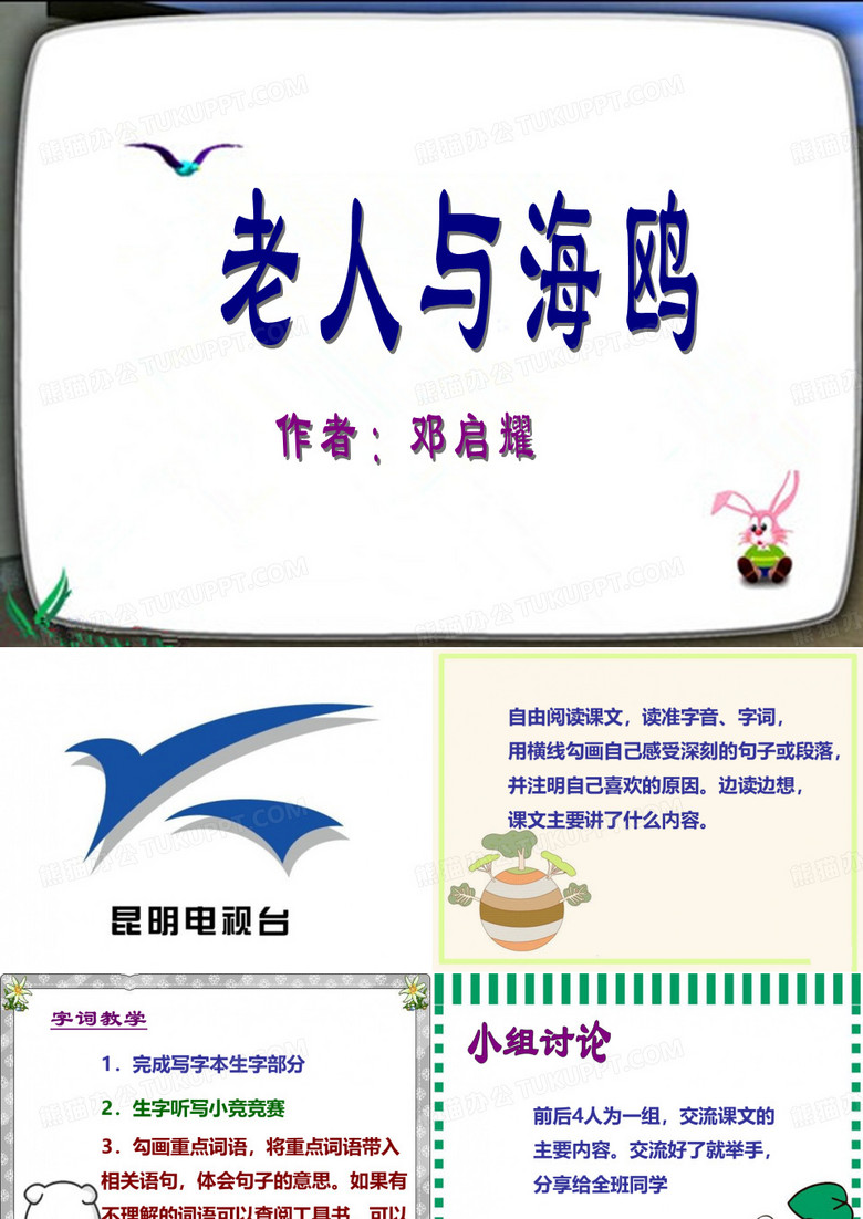 老人与海鸥