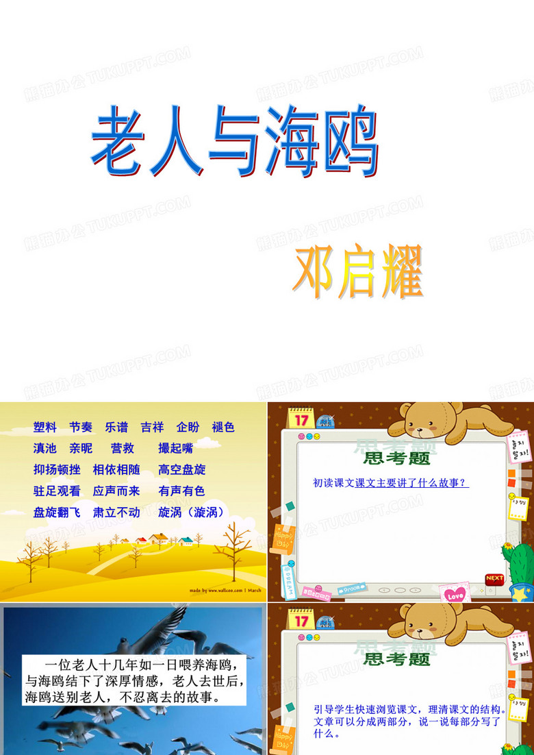 老人与海鸥