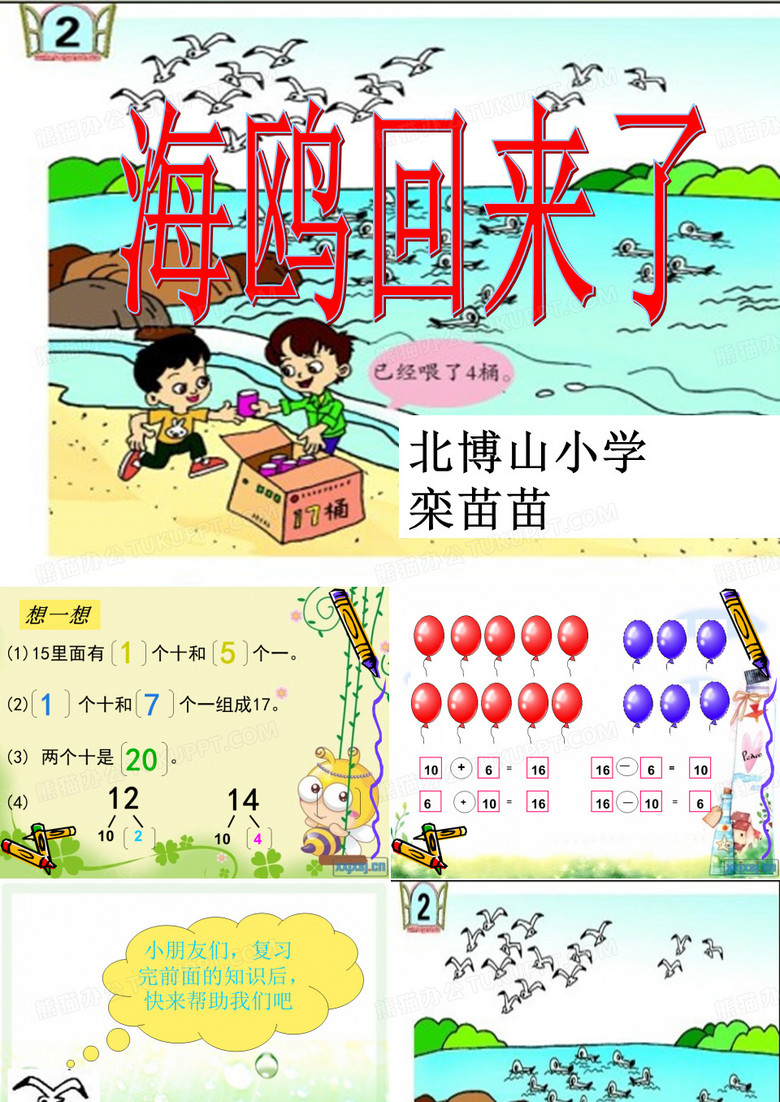 海鸥回来了