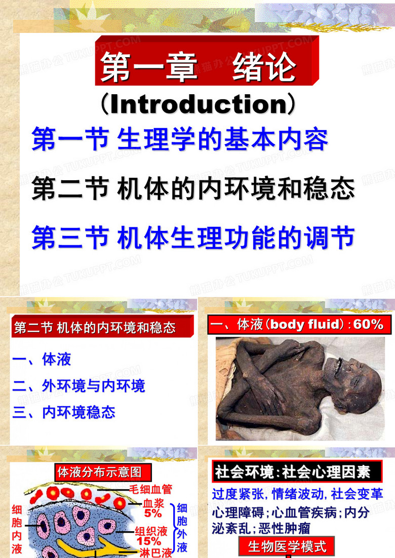 纤维蛋白原纤维蛋白.ppt