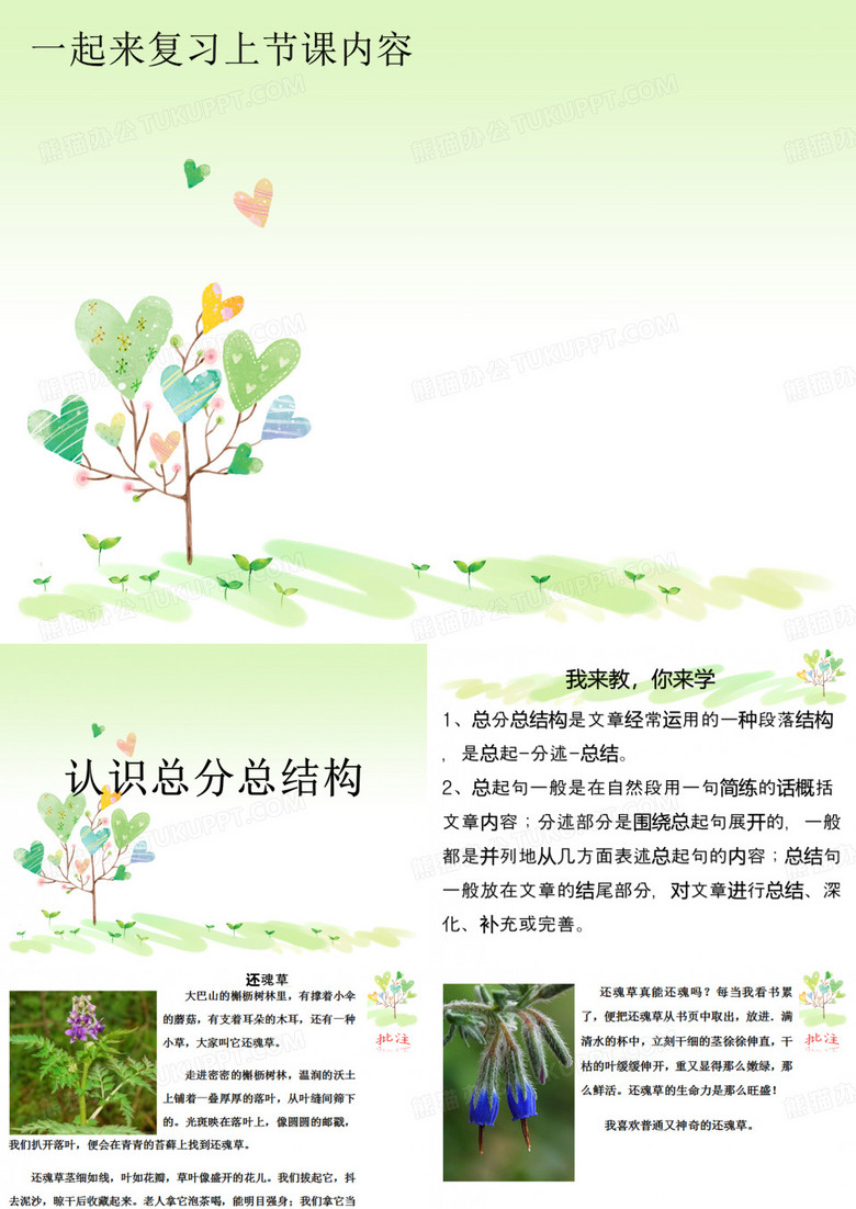 认识总分总结构.pptx