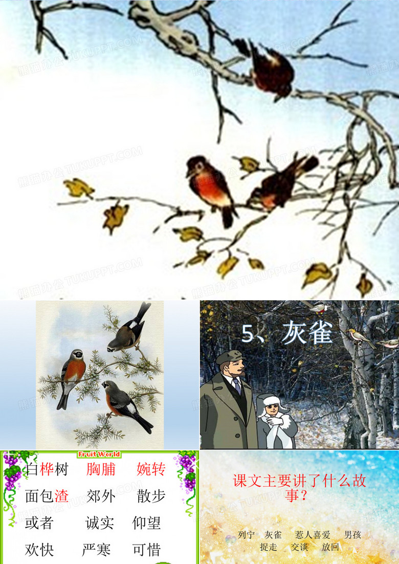 灰雀