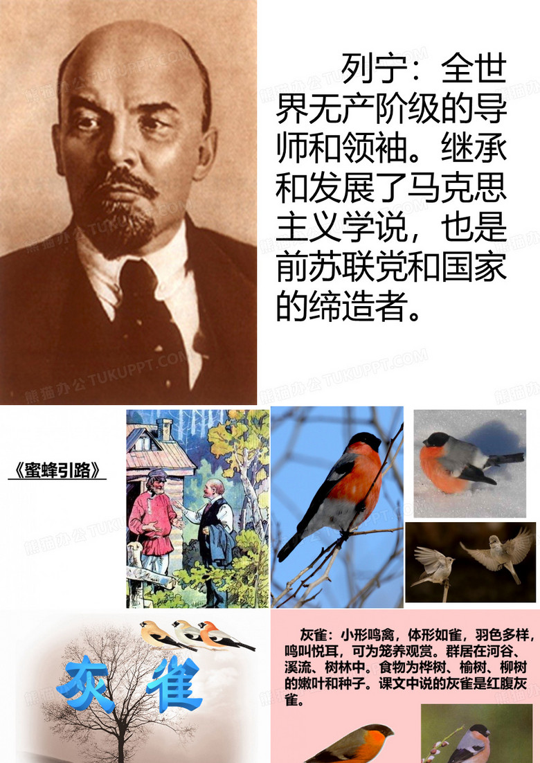 灰雀