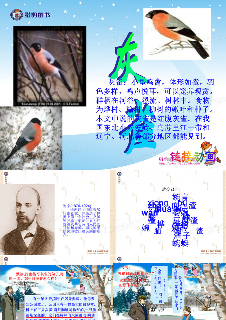灰雀