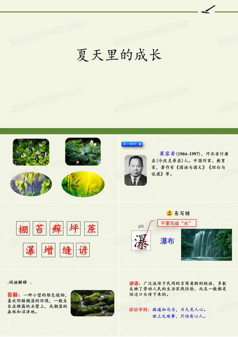 夏天里的成长