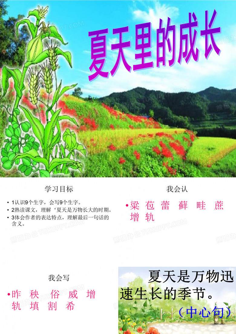 夏天里的成长