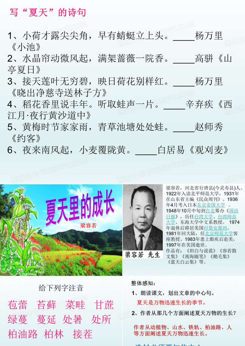 夏天里的成长