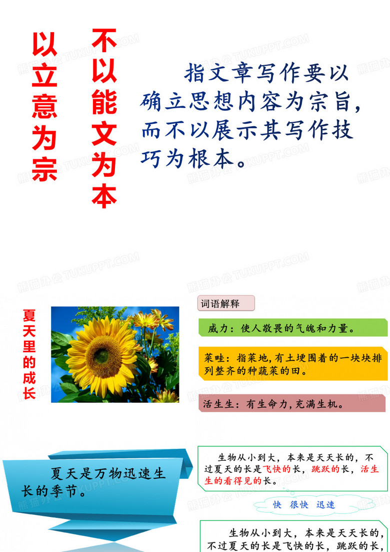 夏天里的成长
