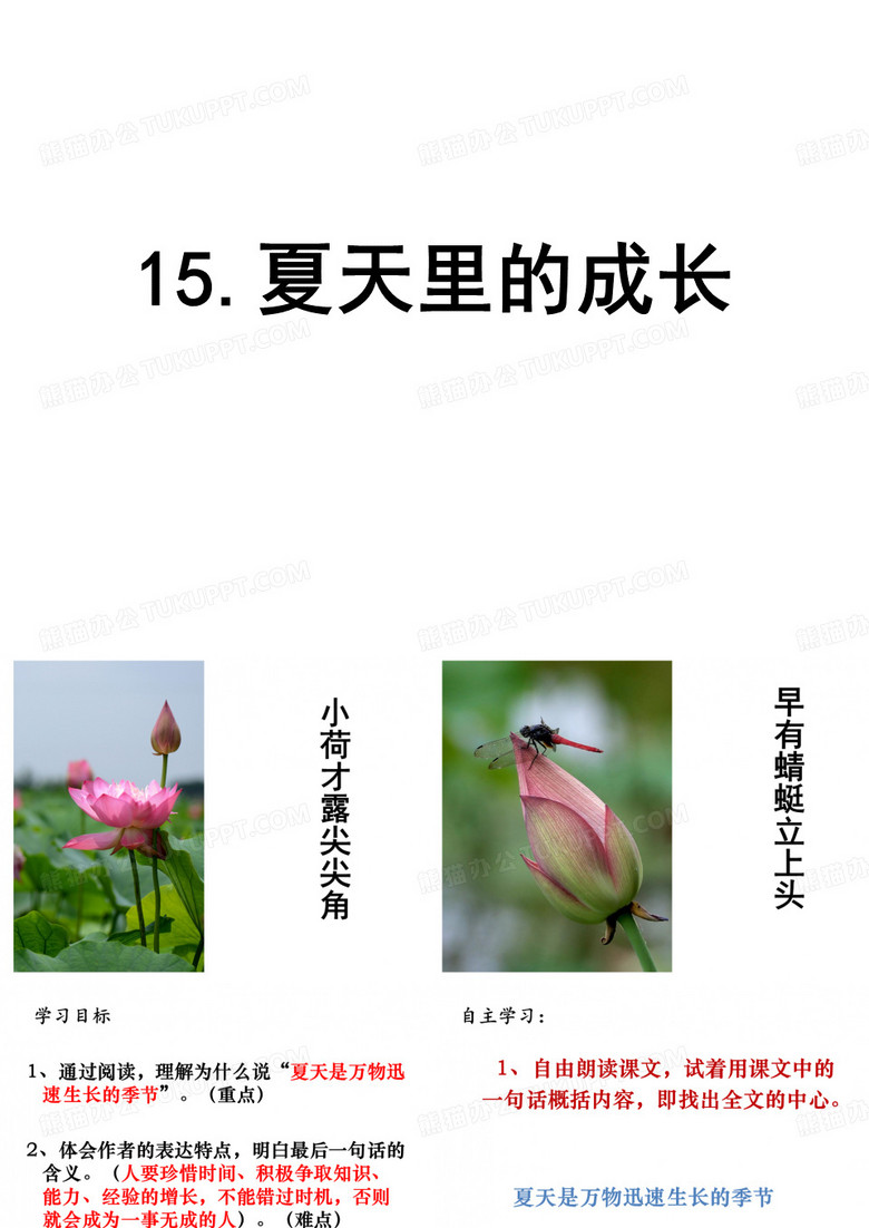 夏天里的成长