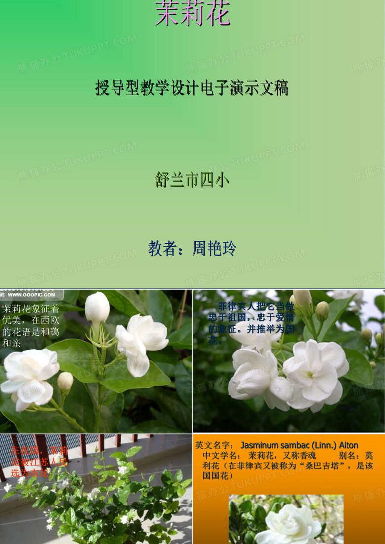茉莉花的花语是花语是