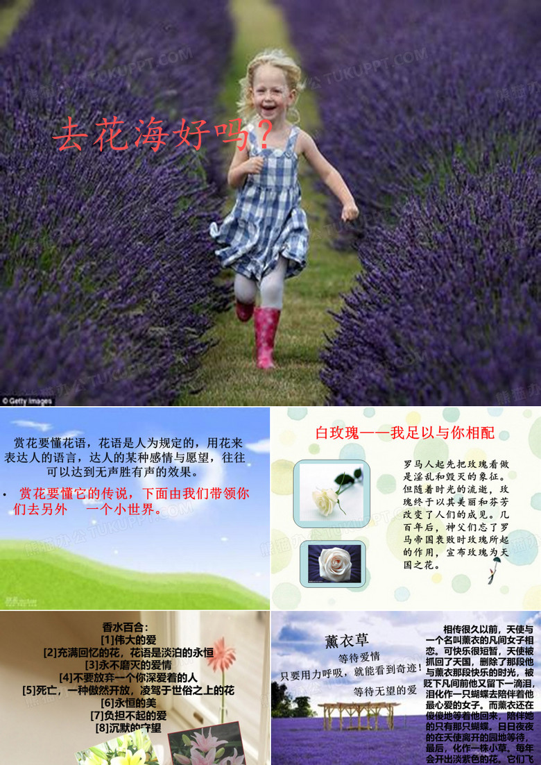 花语ppt