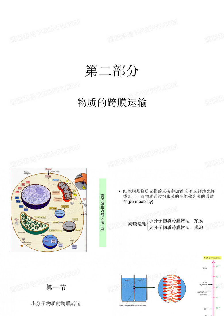 物质的跨膜运输