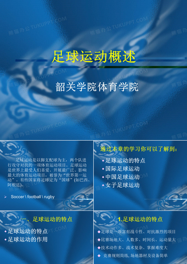 足球运动概述