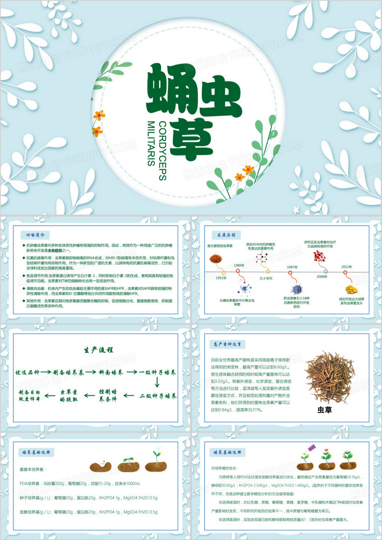 蓝色清新风蛹虫草PPT模板