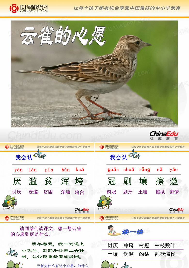 云雀的心愿课件