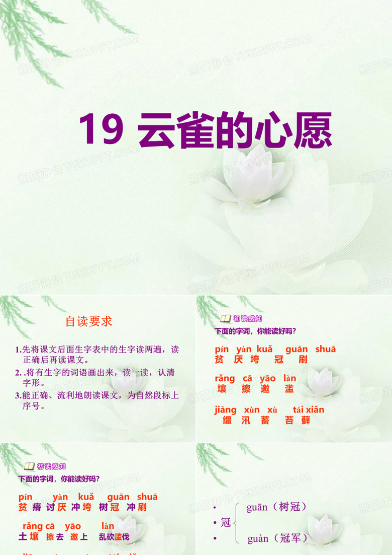 《云雀的心愿》PPT课件