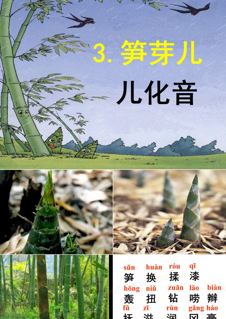 笋芽儿