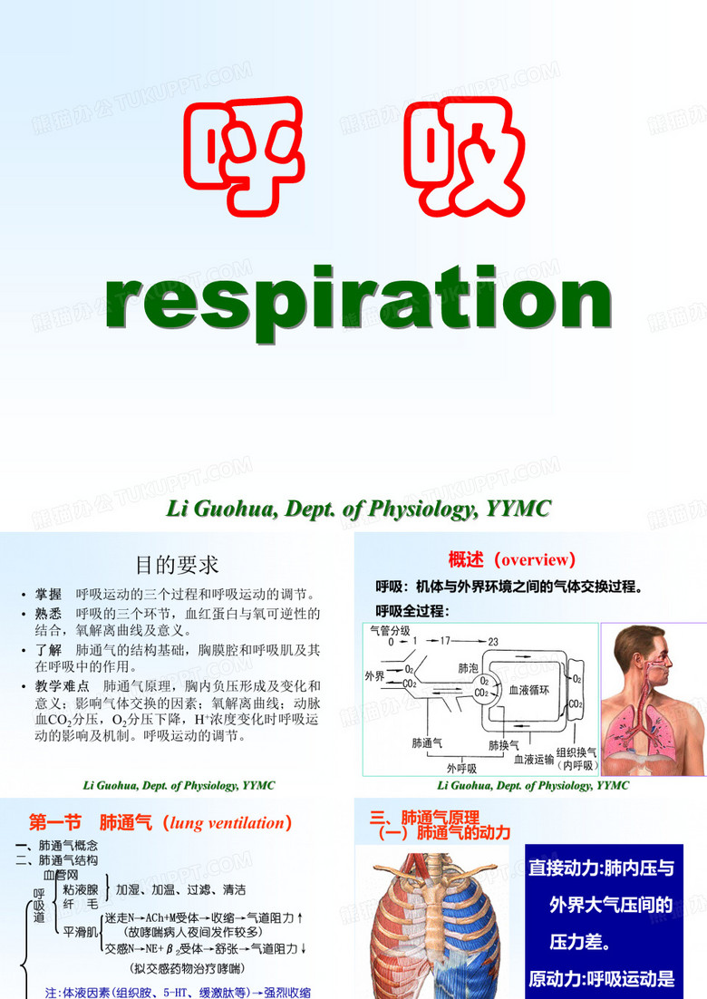 生理学：呼吸