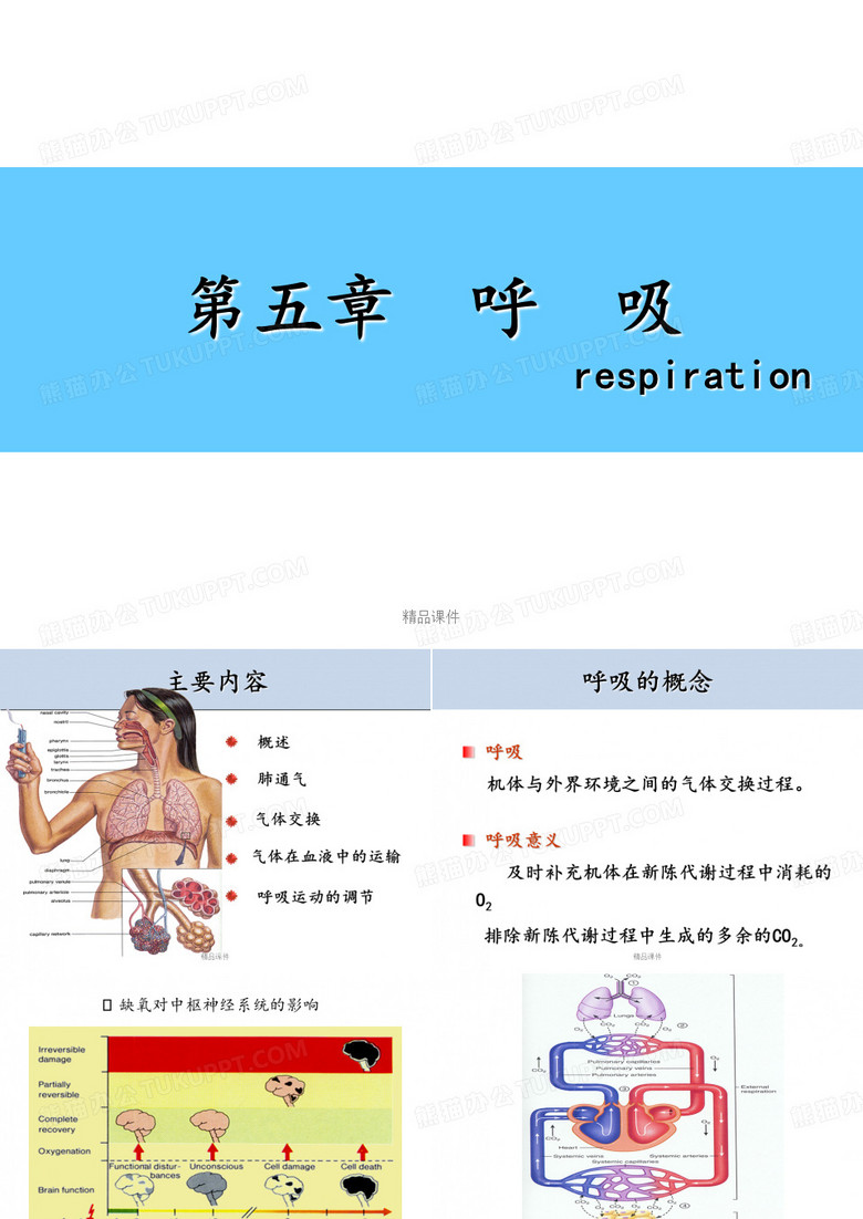 呼吸 生理学