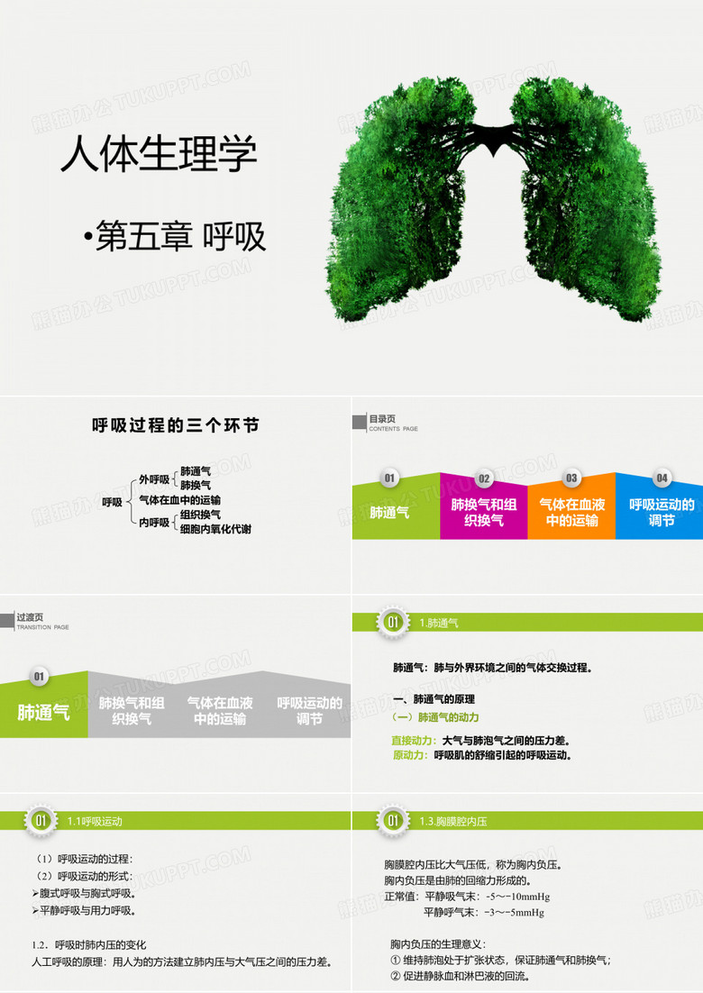 人体生理学——呼吸