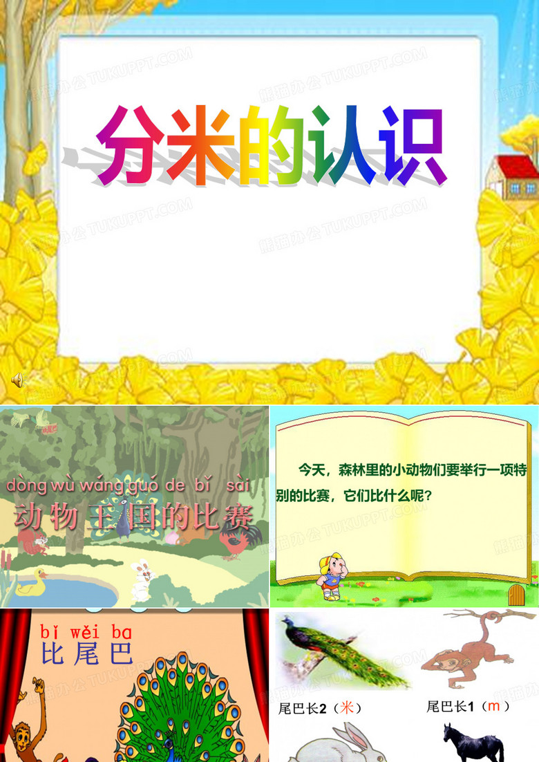 分米的认识