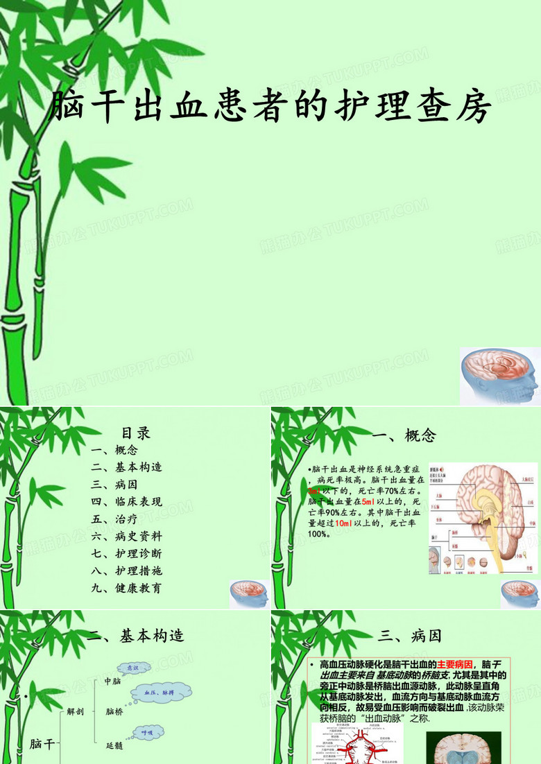 脑干出血护理查房