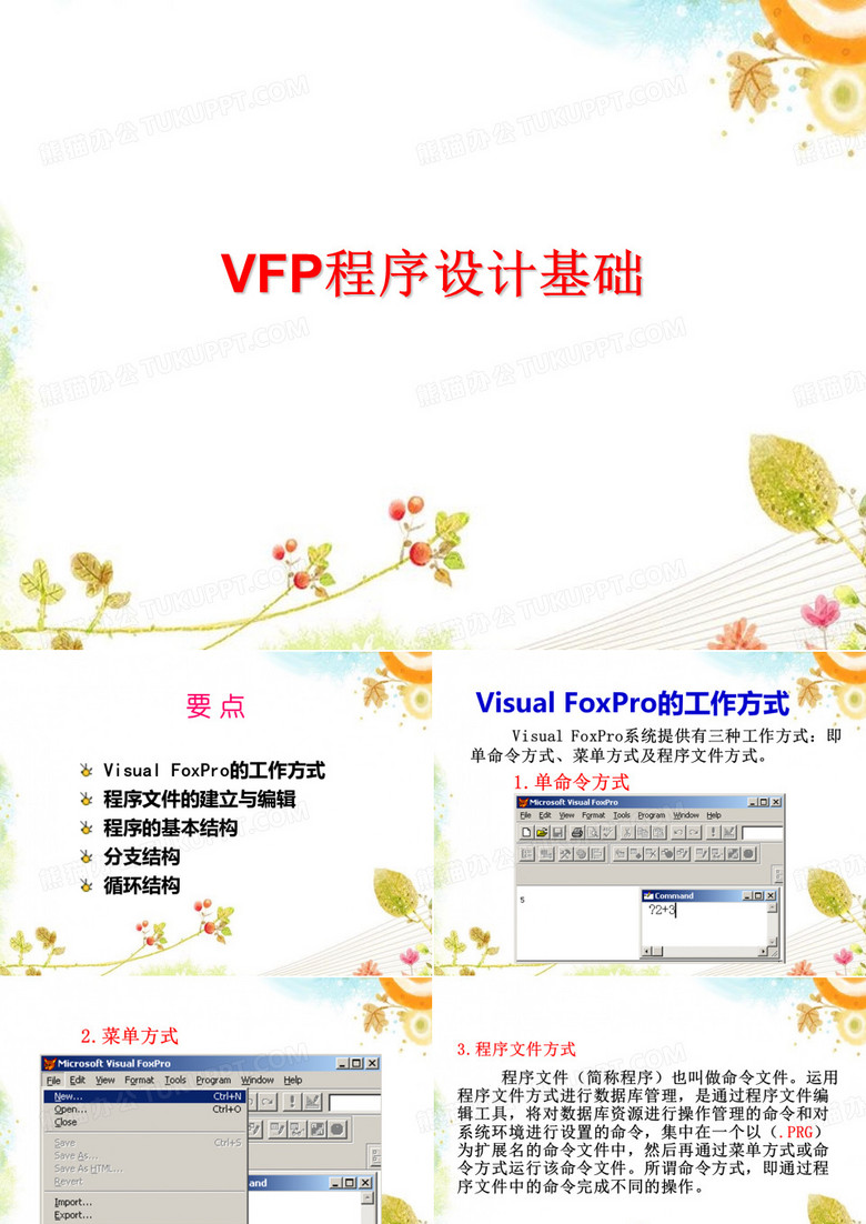 VFP程序设计基础 55页