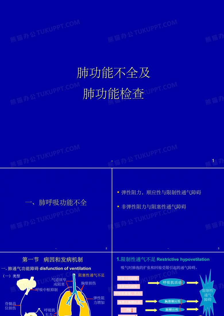 肺生理肺功能 ppt