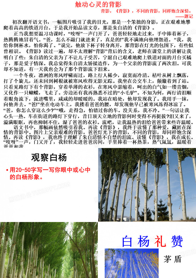 白杨礼赞