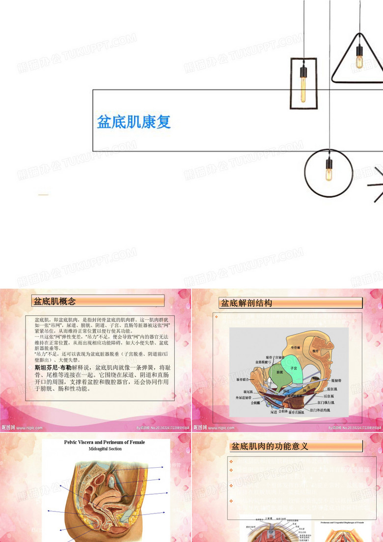 盆底肌康复